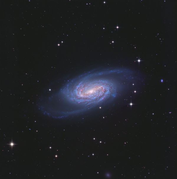 NGC 2903